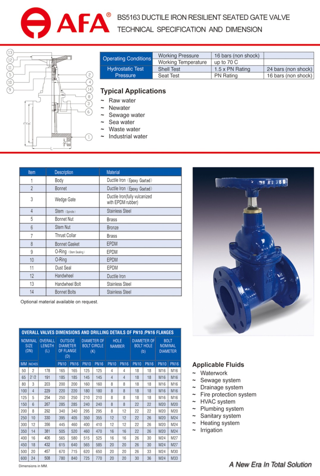BS5163 DUCTILE IRON RESILIENT SEATED GATE VALVE 1 (2).jpg
